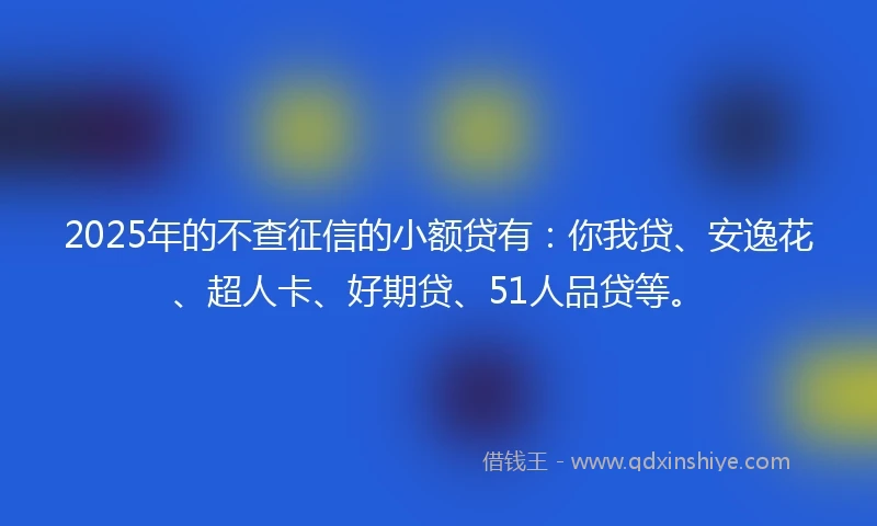 2025年的不查征信的小额贷有：你我贷、安逸花、超人卡、好期贷、51人品贷等。
