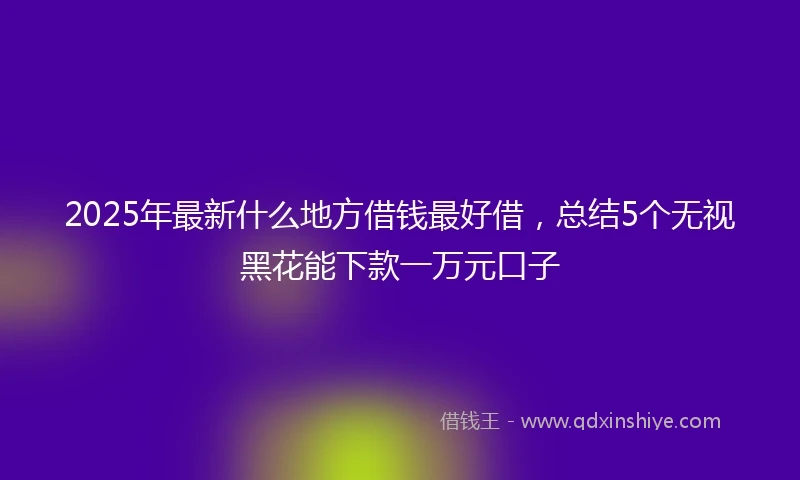 2025年最新什么地方借钱最好借，总结5个无视黑花能下款一万元口子