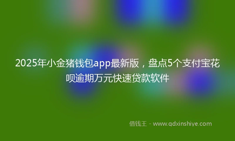 2025年小金猪钱包app最新版，盘点5个支付宝花呗逾期万元快速贷款软件
