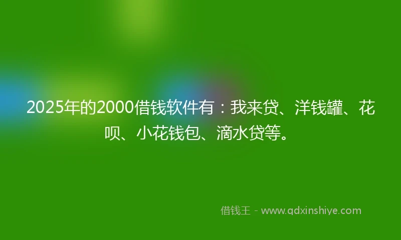 2025年的2000借钱软件有：我来贷、洋钱罐、花呗、小花钱包、滴水贷等。