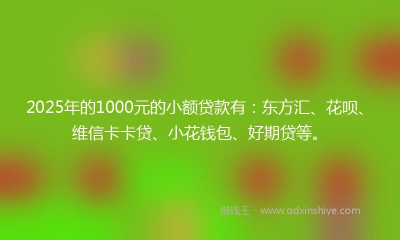 2025年的1000元的小额贷款有：东方汇、花呗、维信卡卡贷、小花钱包、好期贷等。