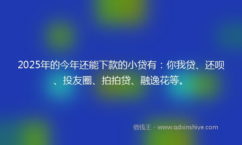 2025年的今年还能下款的小贷有：你我贷、还呗、投友圈、拍拍贷、融逸花等。