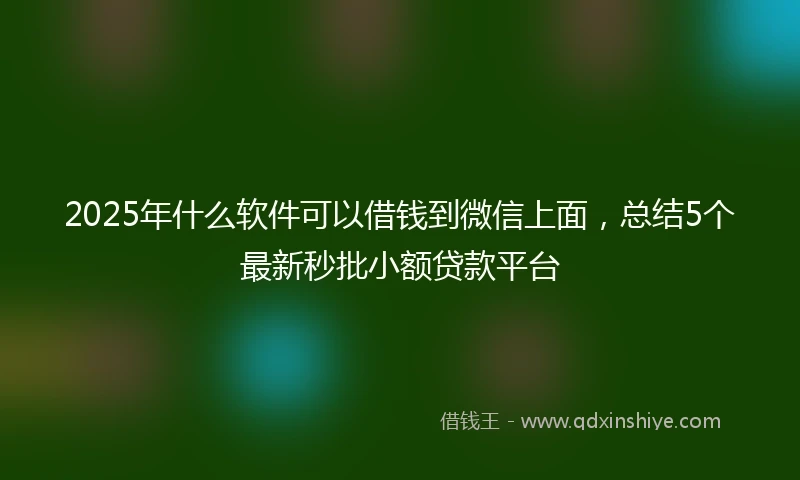 2025年什么软件可以借钱到微信上面，总结5个最新秒批小额贷款平台