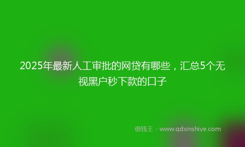 2025年最新人工审批的网贷有哪些，汇总5个无视黑户秒下款的口子