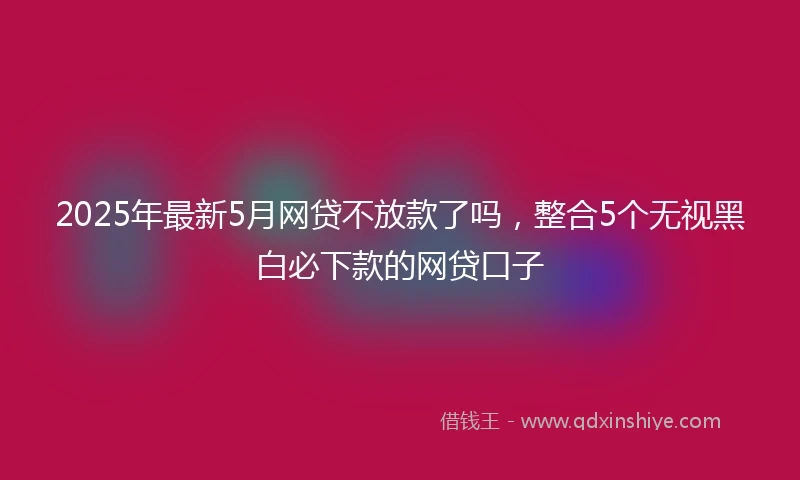 2025年最新5月网贷不放款了吗，整合5个无视黑白必下款的网贷口子