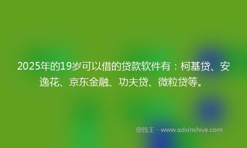 2025年的19岁可以借的贷款软件有：柯基贷、安逸花、京东金融、功夫贷、微粒贷等。