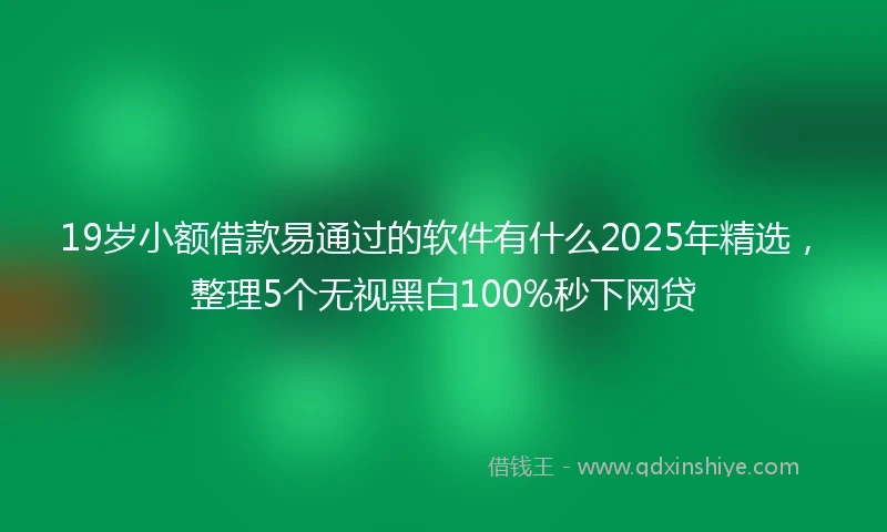 19岁小额借款易通过的软件有什么2025年精选，整理5个无视黑白100%秒下网贷