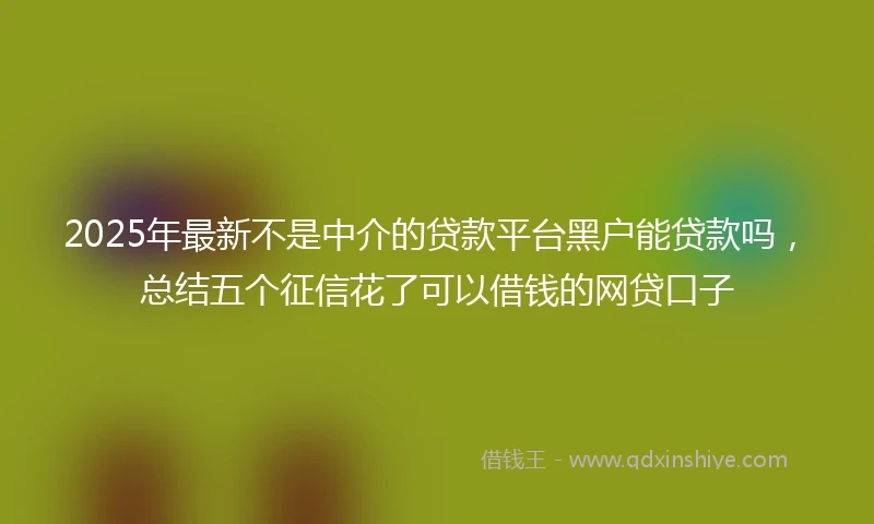 2025年最新不是中介的贷款平台黑户能贷款吗，总结五个征信花了可以借钱的网贷口子