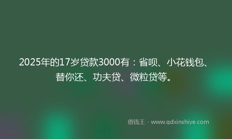 2025年的17岁贷款3000有：省呗、小花钱包、替你还、功夫贷、微粒贷等。