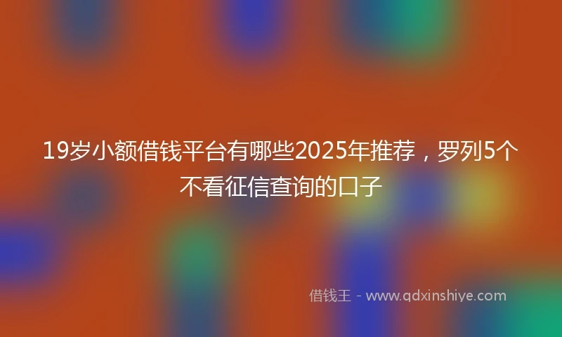 19岁小额借钱平台有哪些2025年推荐，罗列5个不看征信查询的口子