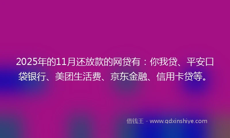 2025年的11月还放款的网贷有：你我贷、平安口袋银行、美团生活费、京东金融、信用卡贷等。