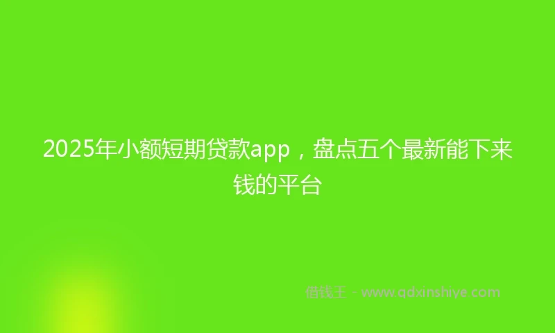 2025年小额短期贷款app，盘点五个最新能下来钱的平台