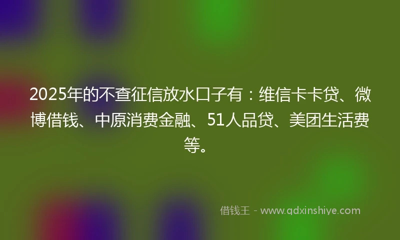 2025年的不查征信放水口子有：维信卡卡贷、微博借钱、中原消费金融、51人品贷、美团生活费等。