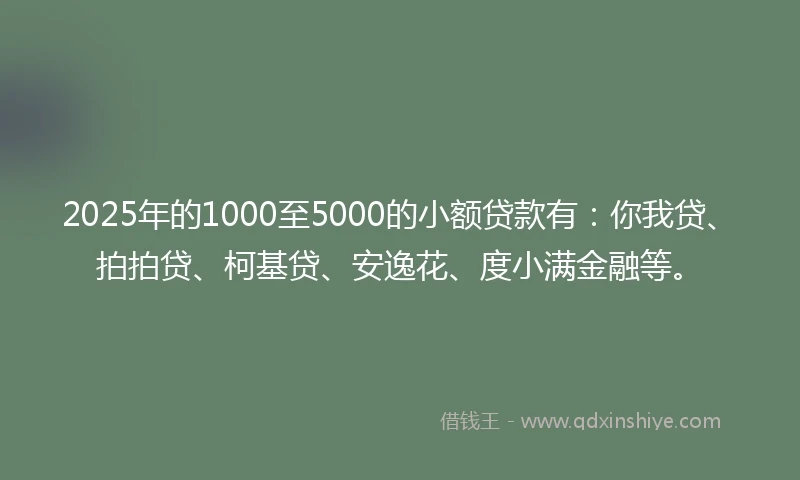 2025年的1000至5000的小额贷款有：你我贷、拍拍贷、柯基贷、安逸花、度小满金融等。