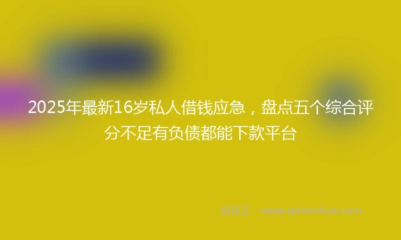 2025年最新16岁私人借钱应急，盘点五个综合评分不足有负债都能下款平台