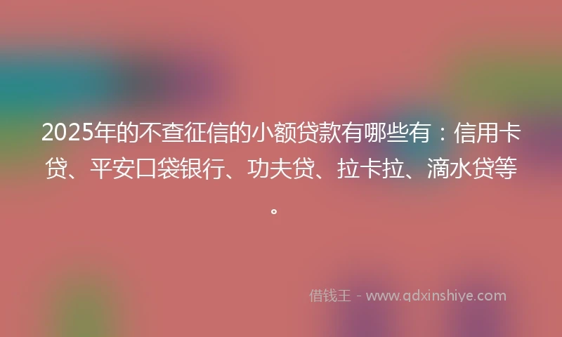 2025年的不查征信的小额贷款有哪些有：信用卡贷、平安口袋银行、功夫贷、拉卡拉、滴水贷等。