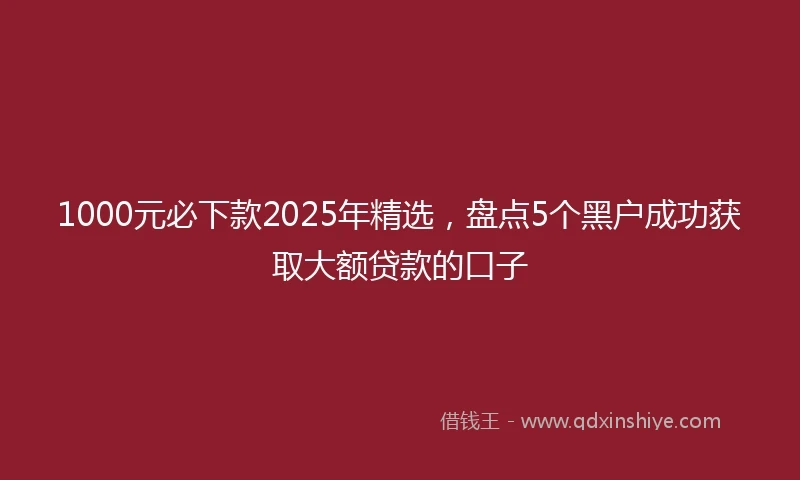1000元必下款2025年精选，盘点5个黑户成功获取大额贷款的口子