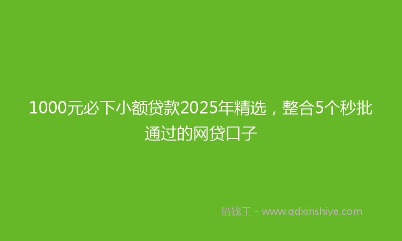 1000元必下小额贷款2025年精选，整合5个秒批通过的网贷口子