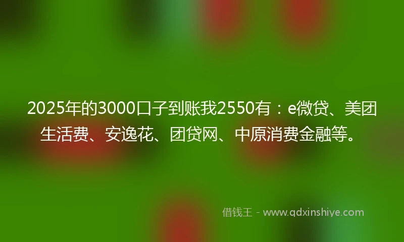 2025年的3000口子到账我2550有：e微贷、美团生活费、安逸花、团贷网、中原消费金融等。