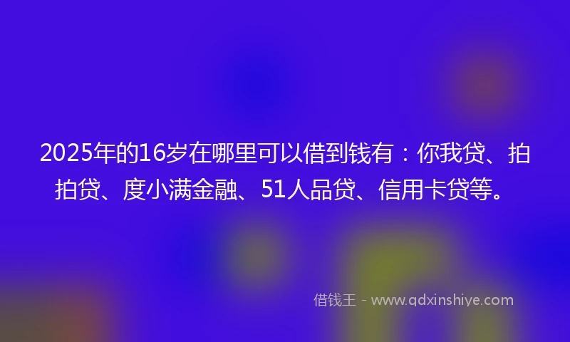 2025年的16岁在哪里可以借到钱有：你我贷、拍拍贷、度小满金融、51人品贷、信用卡贷等。