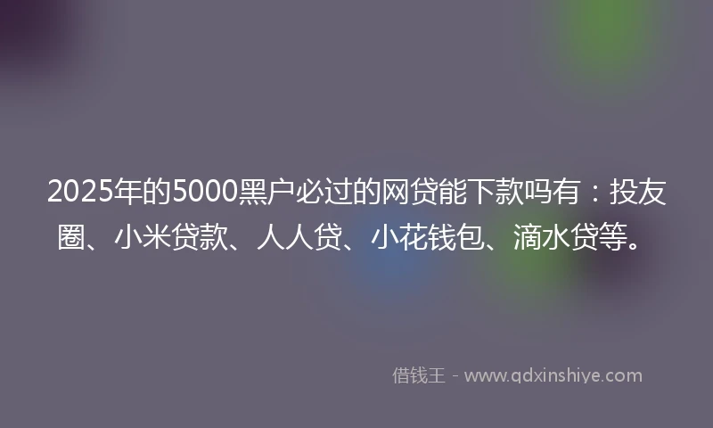 2025年的5000黑户必过的网贷能下款吗有：投友圈、小米贷款、人人贷、小花钱包、滴水贷等。
