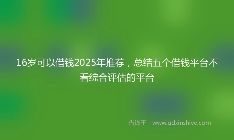 16岁可以借钱2025年推荐，总结五个借钱平台不看综合评估的平台