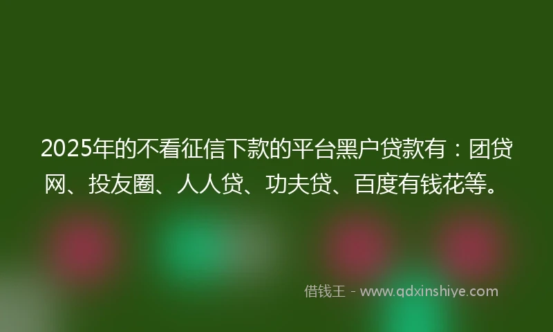 2025年的不看征信下款的平台黑户贷款有：团贷网、投友圈、人人贷、功夫贷、百度有钱花等。