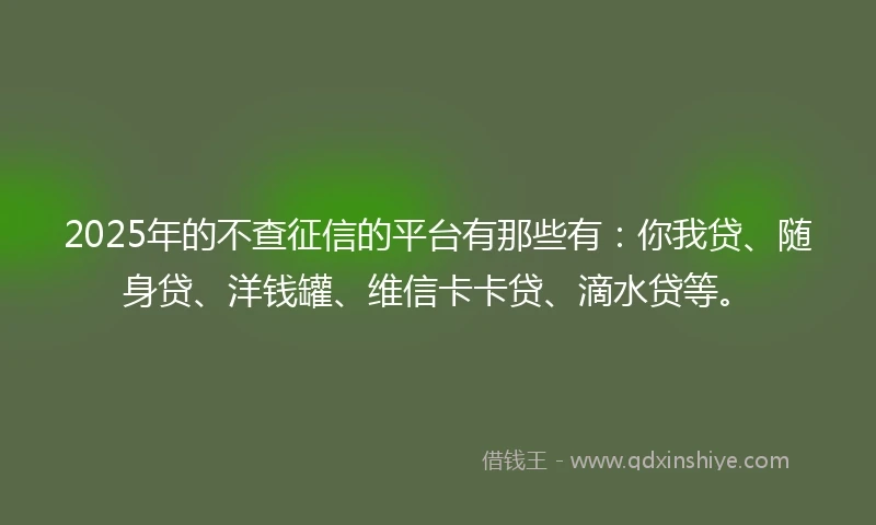 2025年的不查征信的平台有那些有：你我贷、随身贷、洋钱罐、维信卡卡贷、滴水贷等。