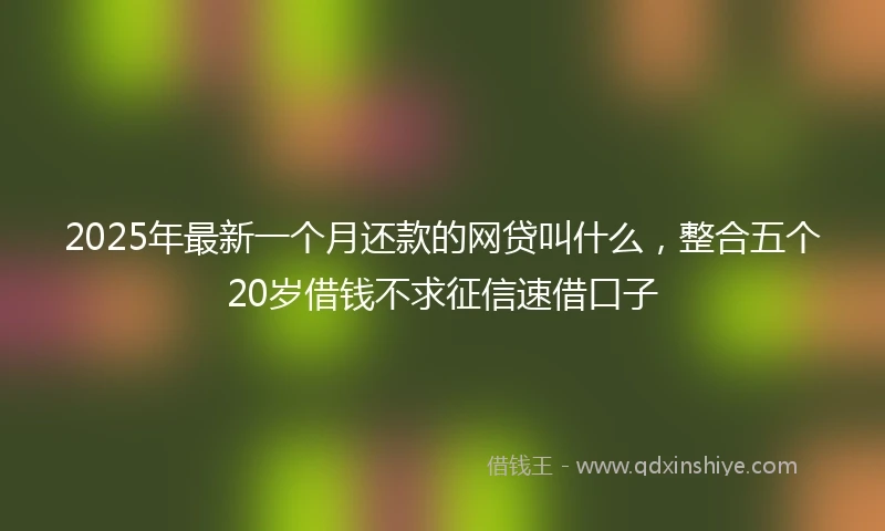 2025年最新一个月还款的网贷叫什么，整合五个20岁借钱不求征信速借口子