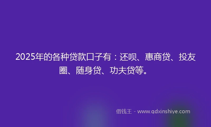 2025年的各种贷款口子有：还呗、惠商贷、投友圈、随身贷、功夫贷等。