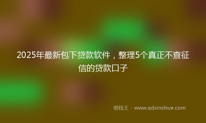 2025年最新包下贷款软件，整理5个真正不查征信的贷款口子