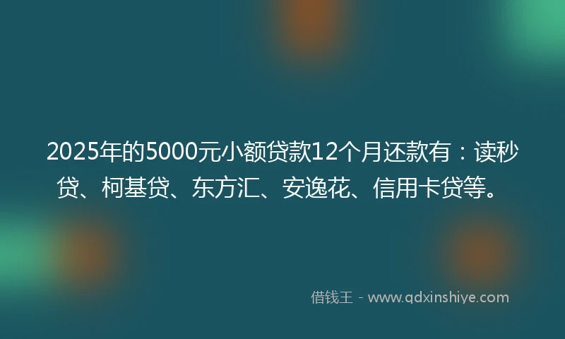 2025年的5000元小额贷款12个月还款有：读秒贷、柯基贷、东方汇、安逸花、信用卡贷等。