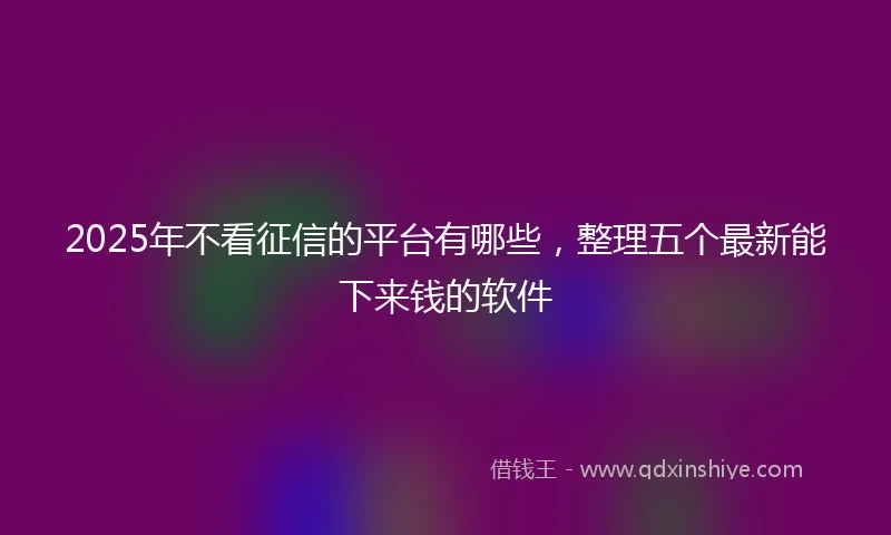 2025年不看征信的平台有哪些，整理五个最新能下来钱的软件
