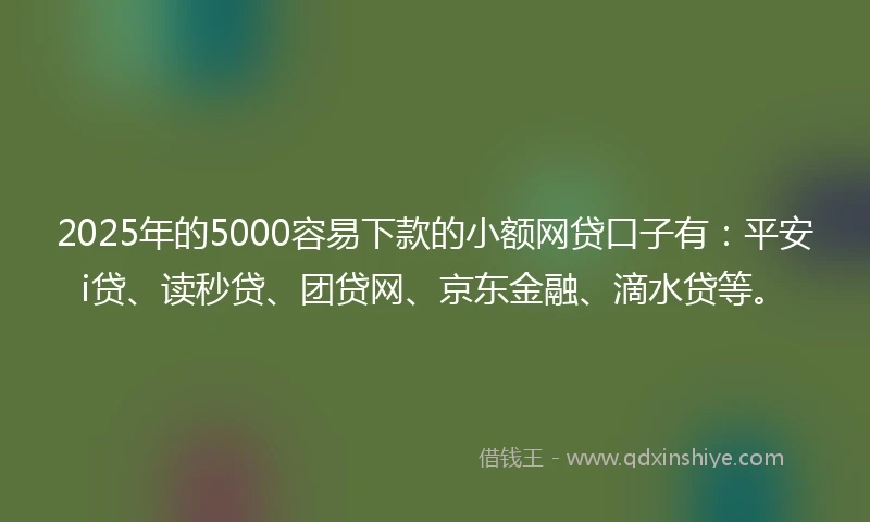 2025年的5000容易下款的小额网贷口子有：平安i贷、读秒贷、团贷网、京东金融、滴水贷等。