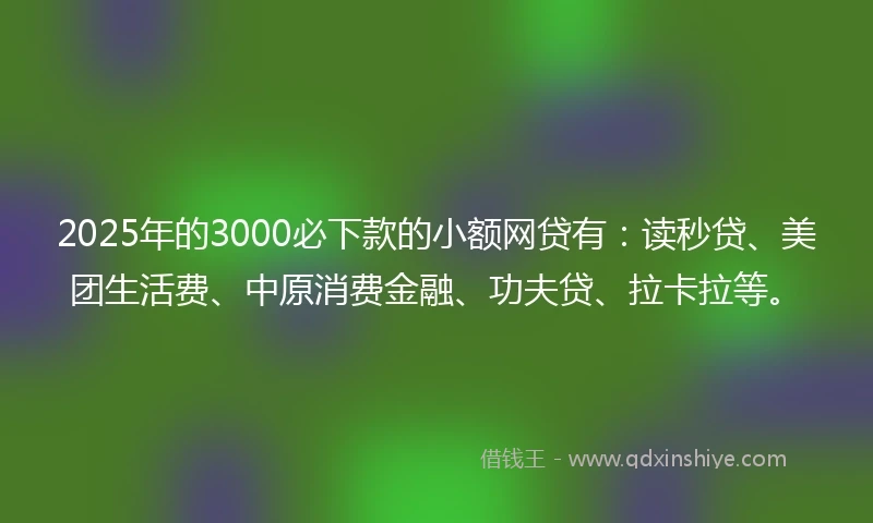 2025年的3000必下款的小额网贷有：读秒贷、美团生活费、中原消费金融、功夫贷、拉卡拉等。