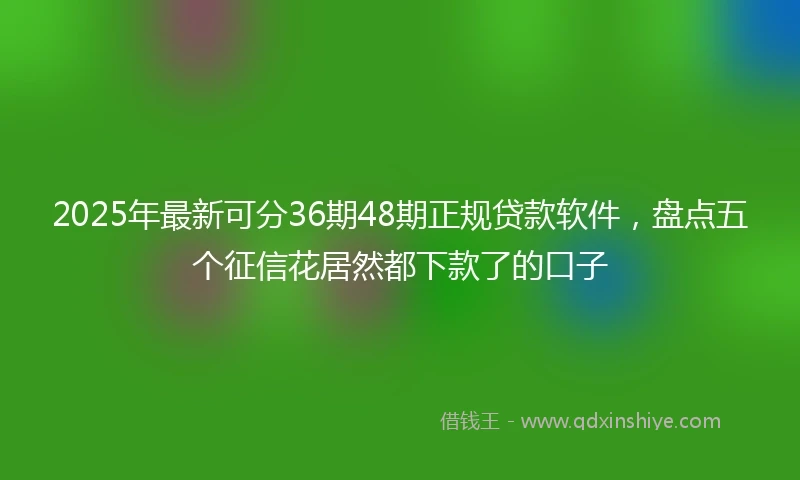 2025年最新可分36期48期正规贷款软件，盘点五个征信花居然都下款了的口子