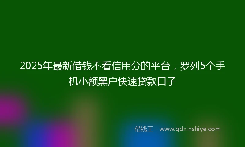 2025年最新借钱不看信用分的平台，罗列5个手机小额黑户快速贷款口子