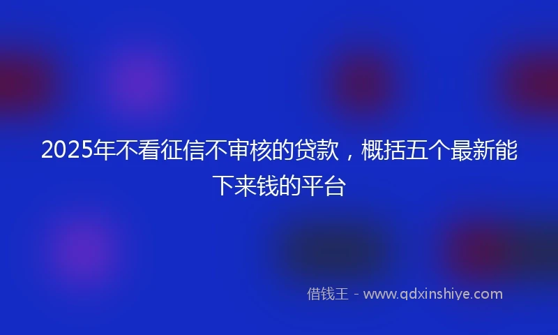 2025年不看征信不审核的贷款，概括五个最新能下来钱的平台