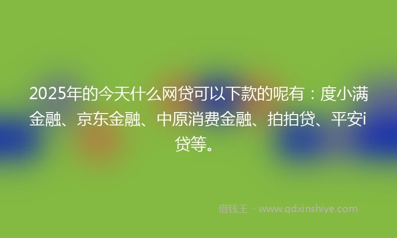 2025年的今天什么网贷可以下款的呢有：度小满金融、京东金融、中原消费金融、拍拍贷、平安i贷等。