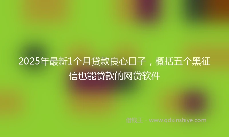 2025年最新1个月贷款良心口子，概括五个黑征信也能贷款的网贷软件