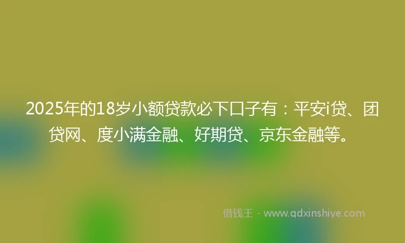2025年的18岁小额贷款必下口子有：平安i贷、团贷网、度小满金融、好期贷、京东金融等。