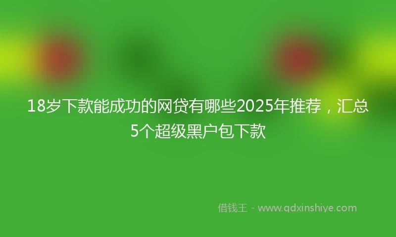 18岁下款能成功的网贷有哪些2025年推荐，汇总5个超级黑户包下款