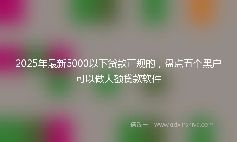 2025年最新5000以下贷款正规的，盘点五个黑户可以做大额贷款软件