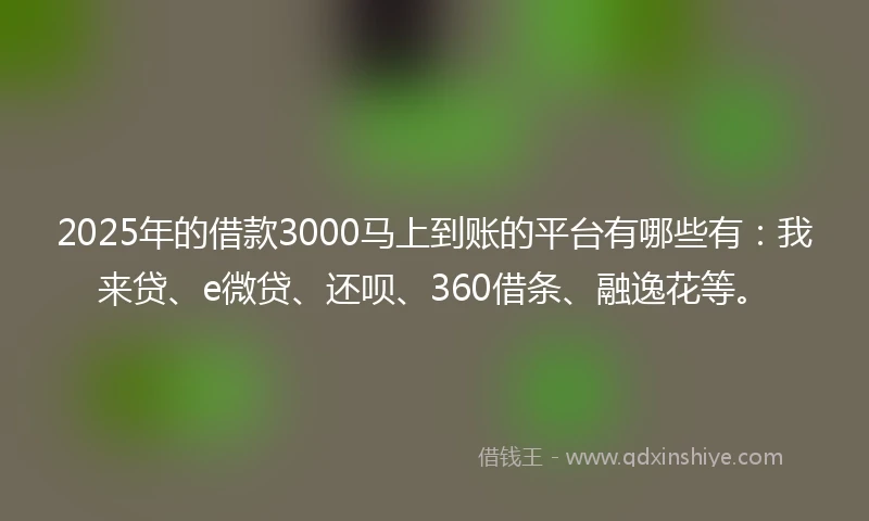 2025年的借款3000马上到账的平台有哪些有：我来贷、e微贷、还呗、360借条、融逸花等。