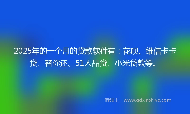 2025年的一个月的贷款软件有：花呗、维信卡卡贷、替你还、51人品贷、小米贷款等。
