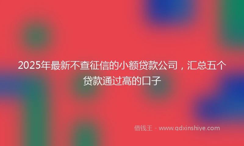 2025年最新不查征信的小额贷款公司，汇总五个贷款通过高的口子
