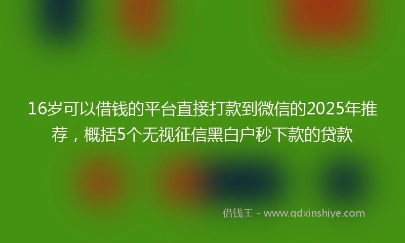 16岁可以借钱的平台直接打款到微信的2025年推荐，概括5个无视征信黑白户秒下款的贷款