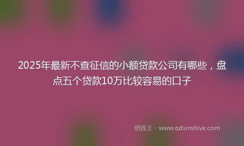 2025年最新不查征信的小额贷款公司有哪些，盘点五个贷款10万比较容易的口子