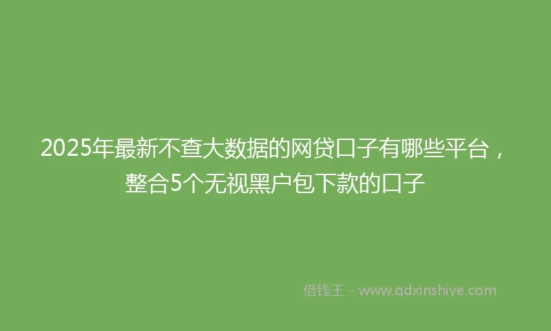 2025年最新不查大数据的网贷口子有哪些平台，整合5个无视黑户包下款的口子