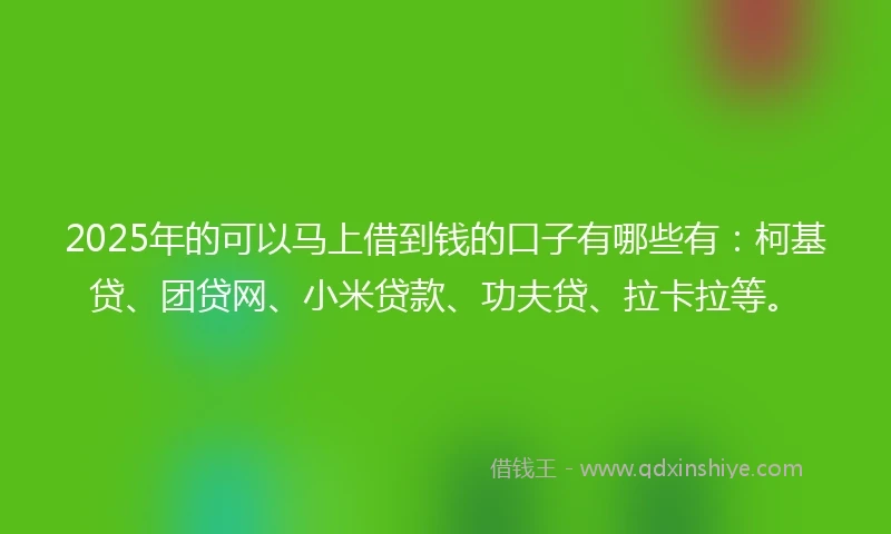 2025年的可以马上借到钱的口子有哪些有：柯基贷、团贷网、小米贷款、功夫贷、拉卡拉等。